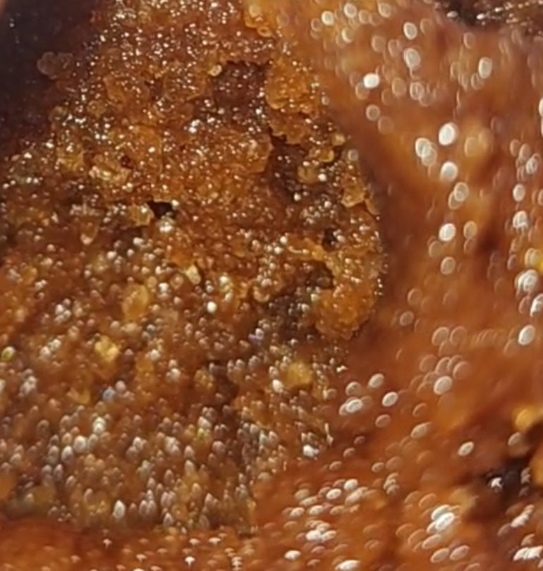 "Chocolate Caramel Coffee" FULL SIZE 13oz Sugar Body Scrub